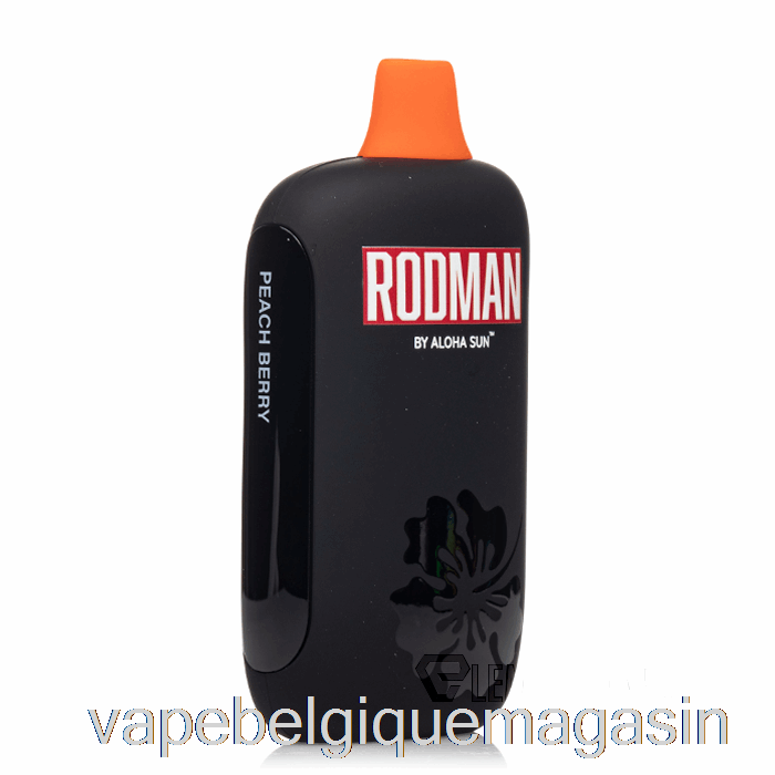 Vape Jetable Rodman 9100 Jetable Pêche Baie